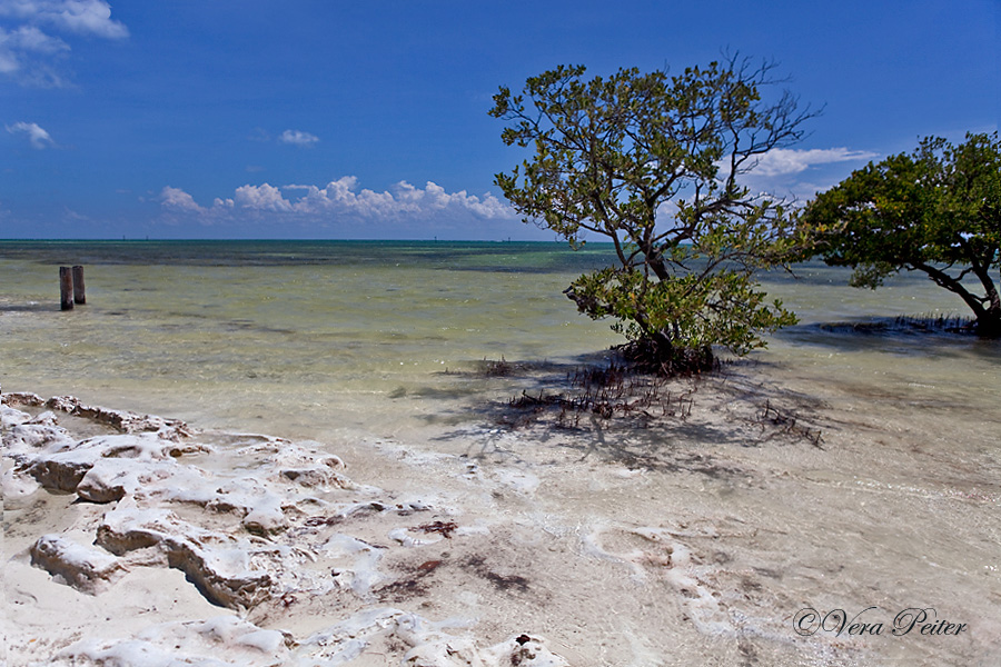 Anne's Beach