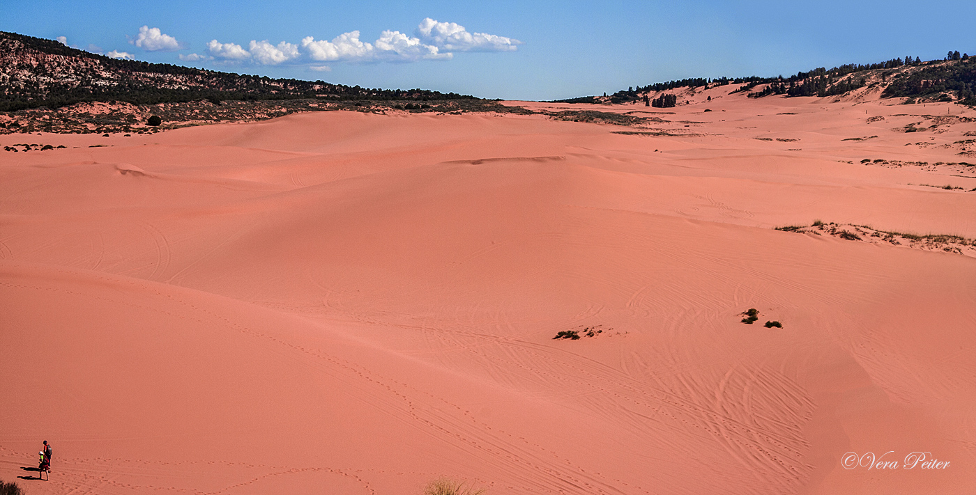 Coral Pink Sand Dunes