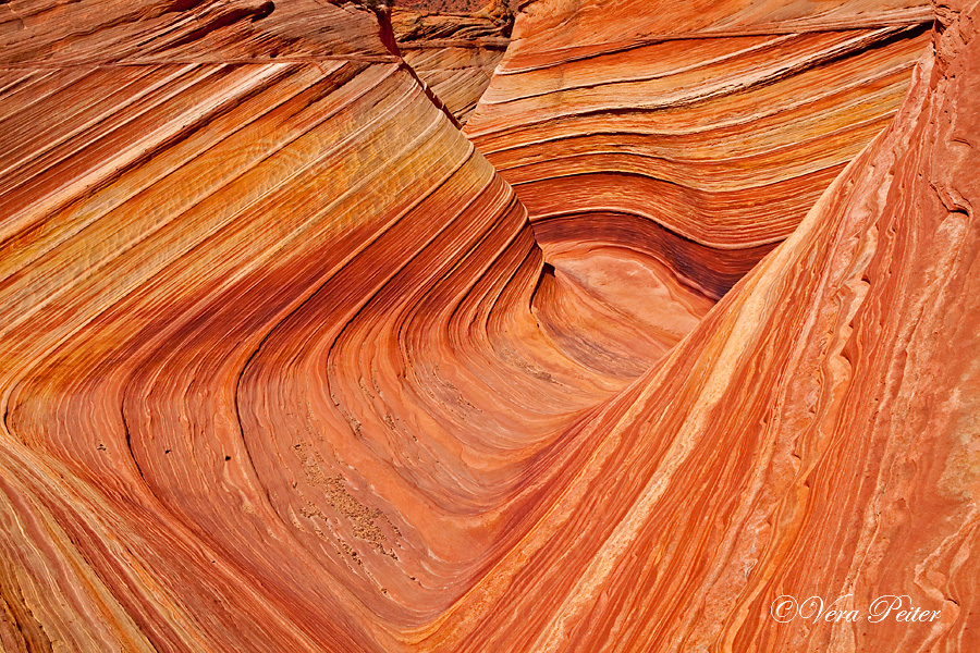 Coyote Buttes North - The Wave