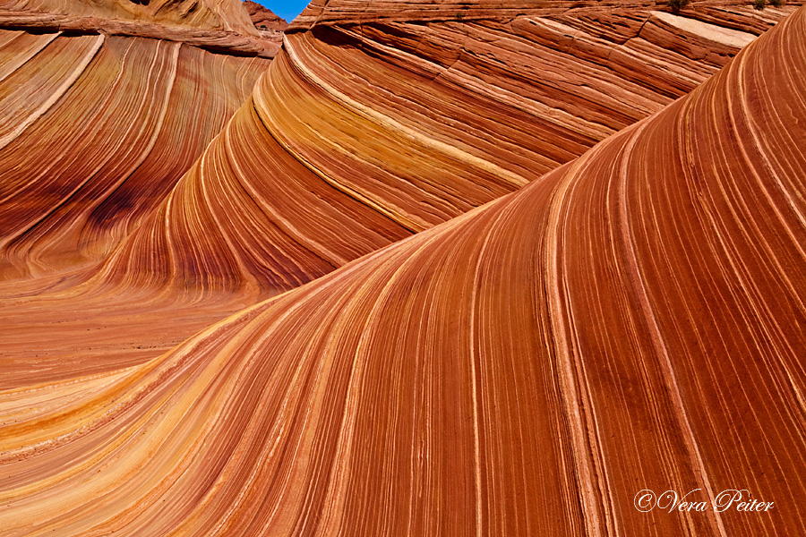 Coyote Buttes North - The Wave