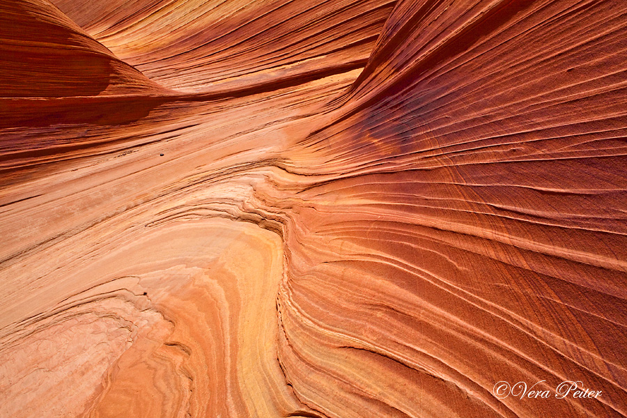 Coyote Buttes North - The Wave