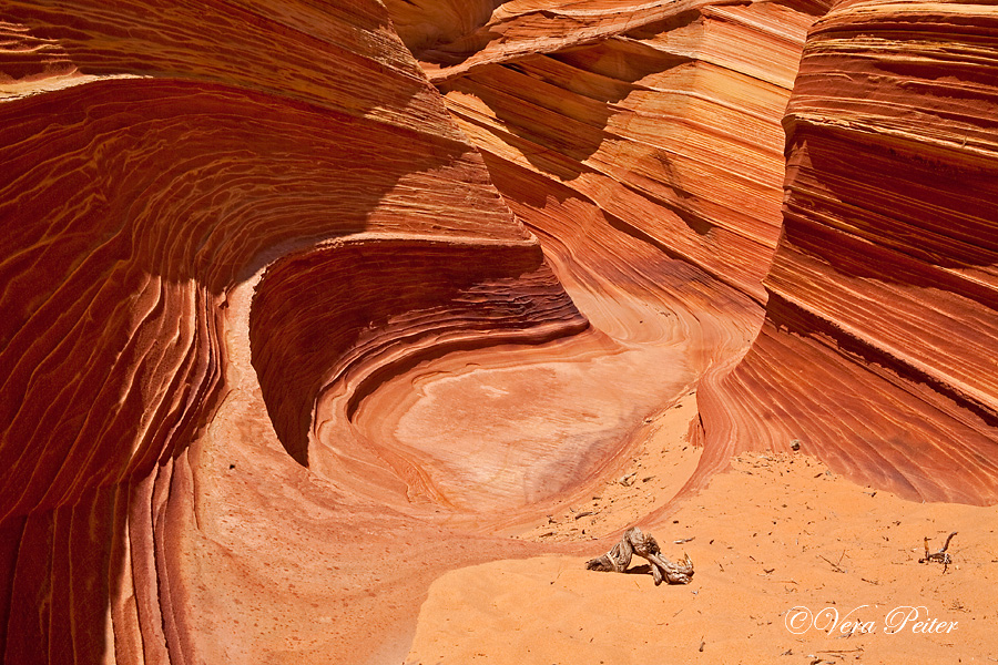 Coyote Buttes North - The Wave