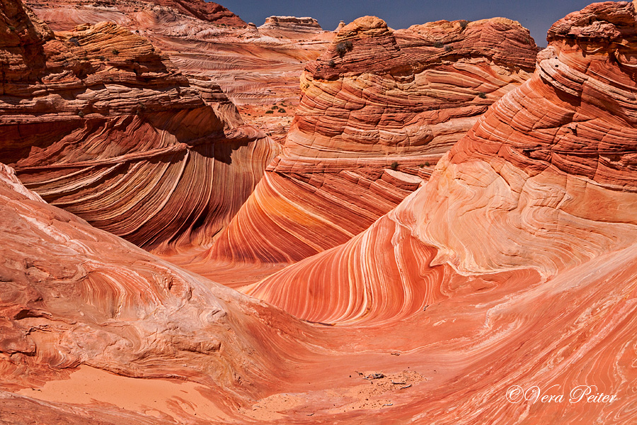 Coyote Buttes North - The Wave