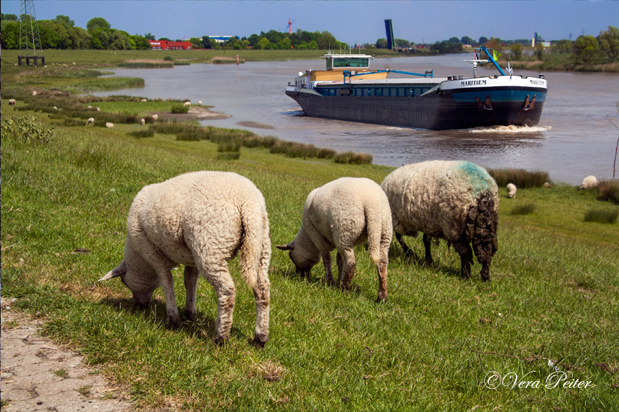 Ostfriesland - Leda bei Leer