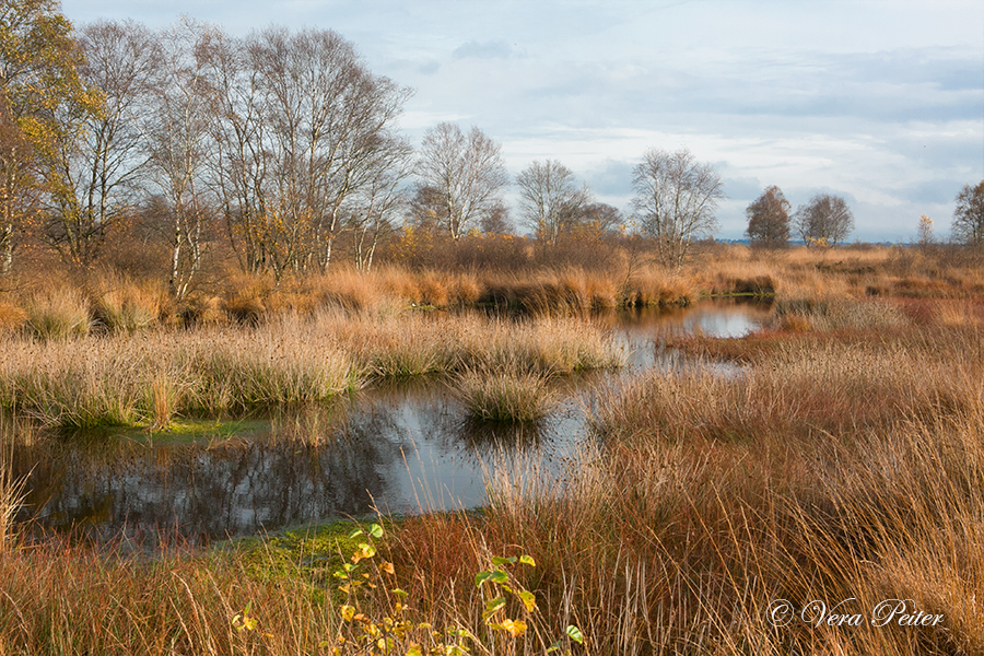 Ostfriesland - Ewiges Meer