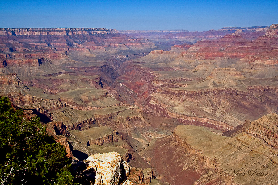 Grand Canyon - South Rim