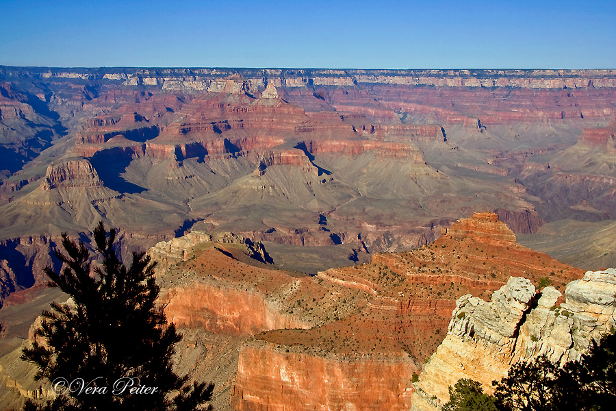 Grand Canyon - South Rim