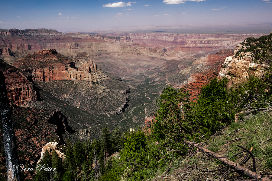 Grand Canyon - North Rim