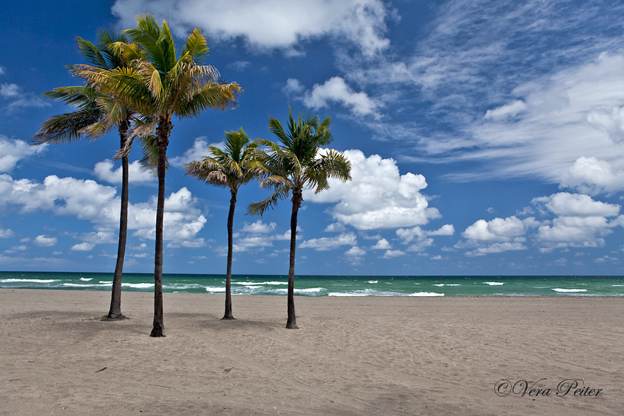 Hallandale Beach