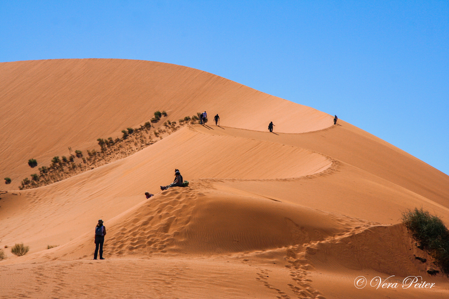 Namib - Big Mama