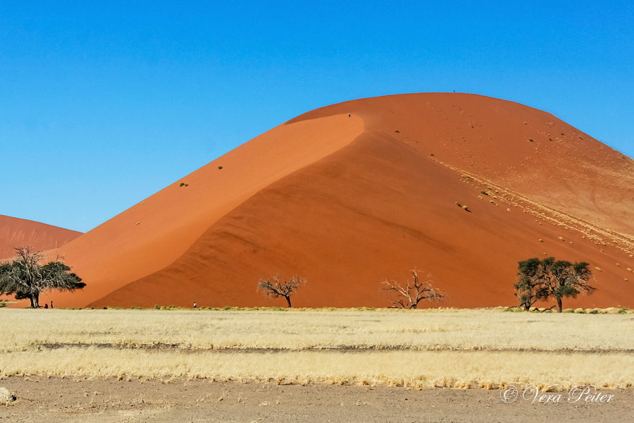 Namib - Düne 45
