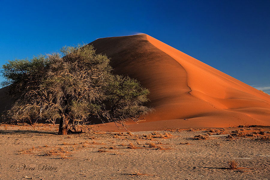 Namib - Düne 42