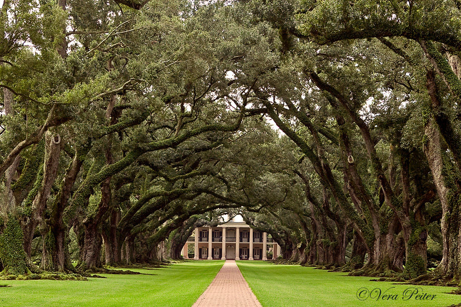 Oak Alley Plantation