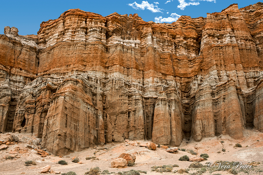 Red Rock Canyon - Kalifornien
