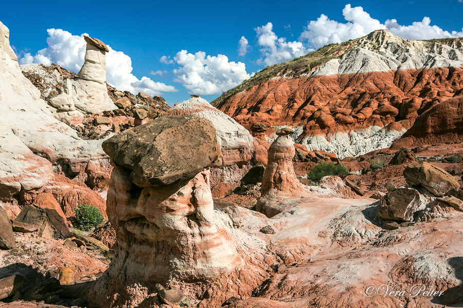 Grand Staircase Escalante - Rimrocks