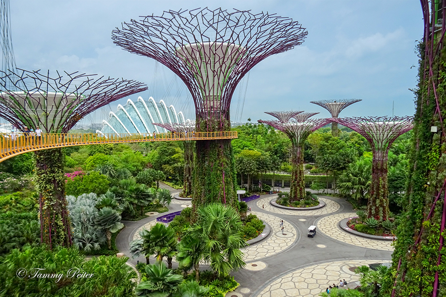 Singapur - Gardens by the Bay