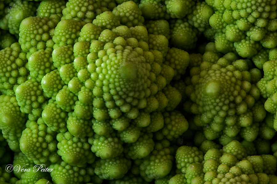 Romanesco