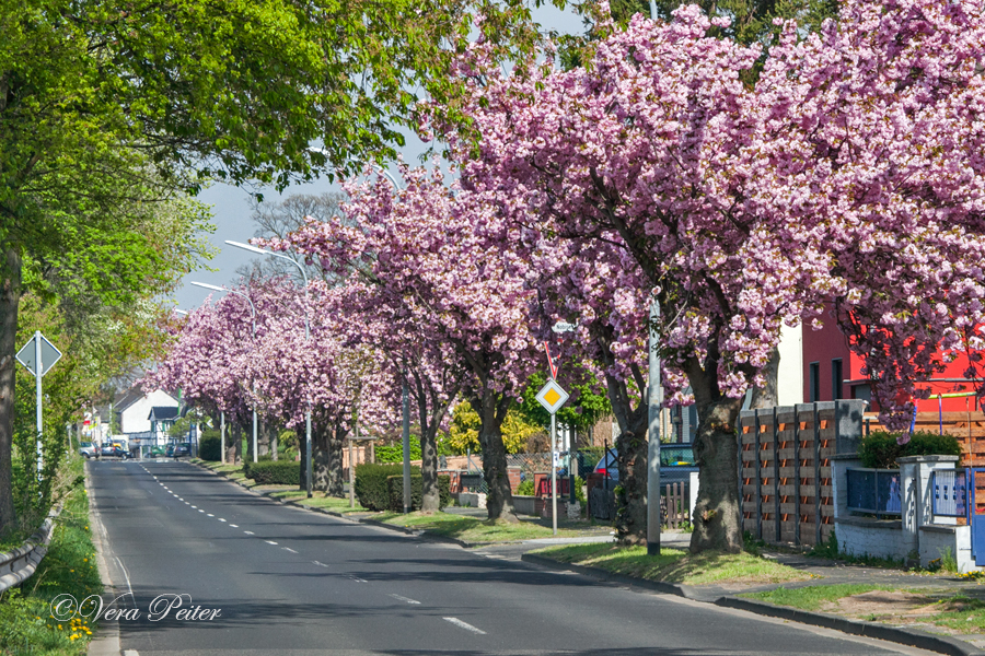 Euskirchen Dorfstraße