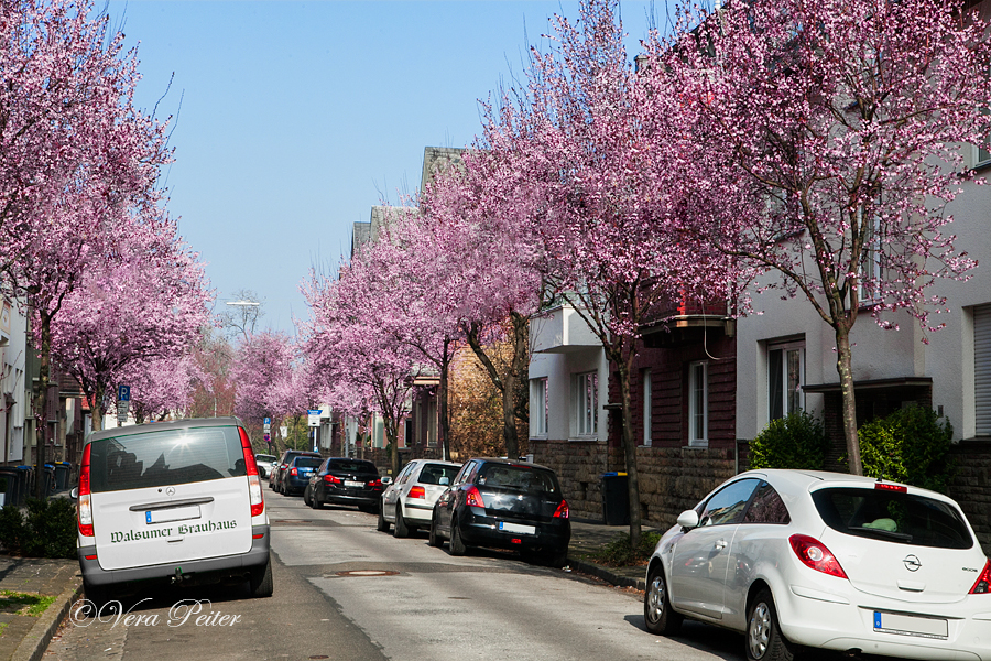 Euskirchen Breite Straße