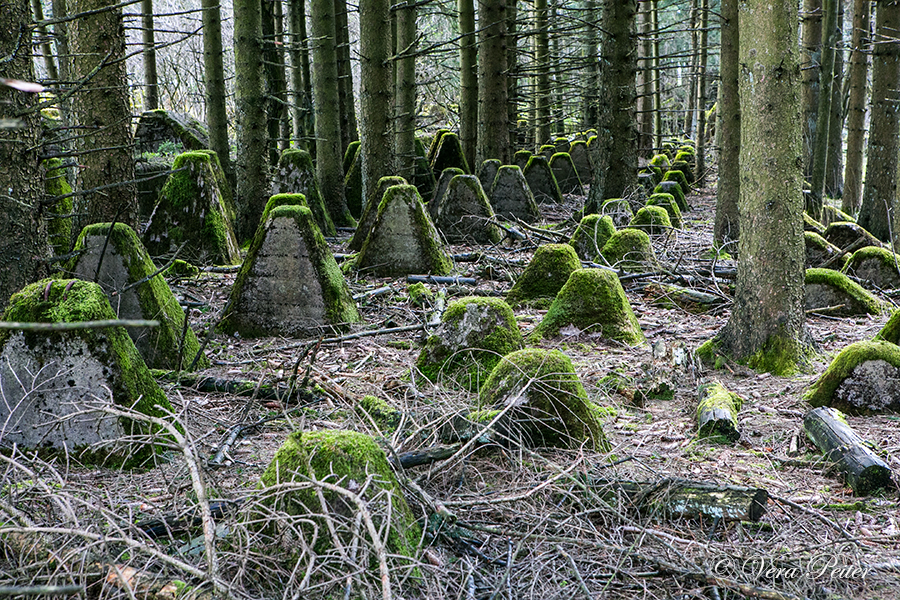 Nationalpark Eifel - Westwall