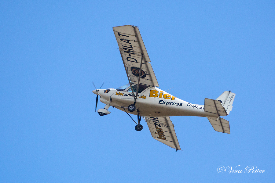 Ikarus C 42
