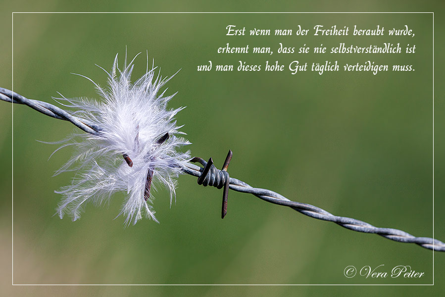 Freiheit