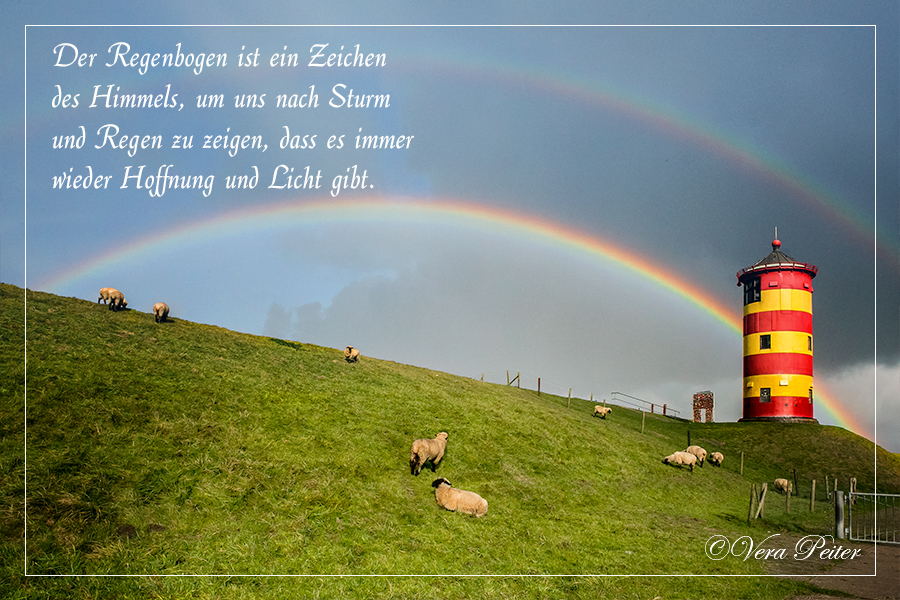 Regenbogen