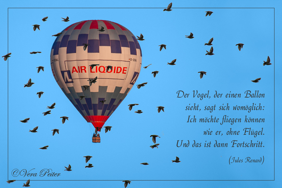 Vogel und Ballon