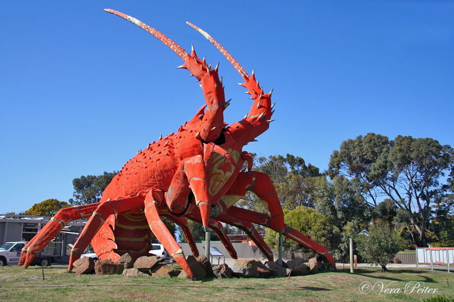 Big Lobster