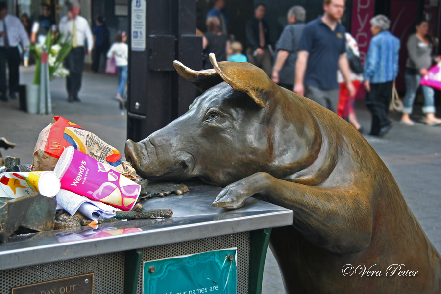 Oliver, das Schwein