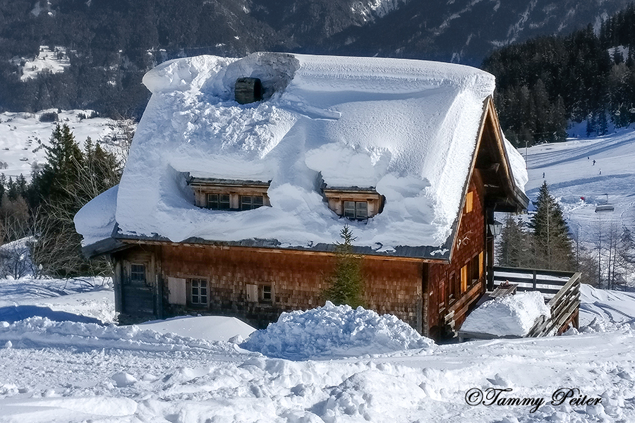 Schneehaube