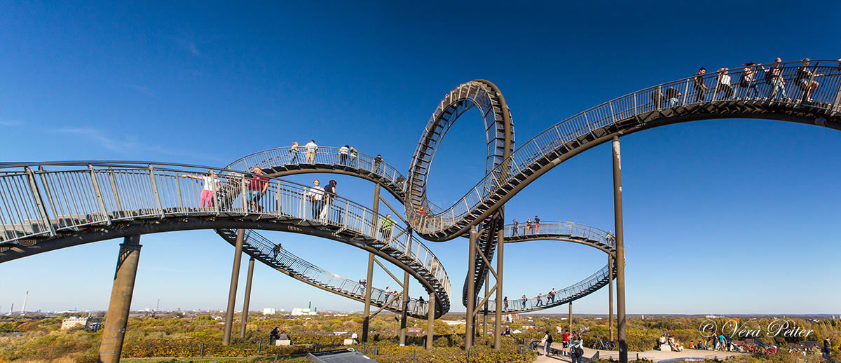 Tiger and Turtle