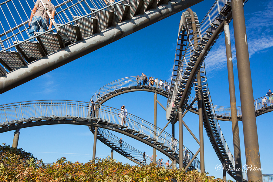 Tiger and Turtle