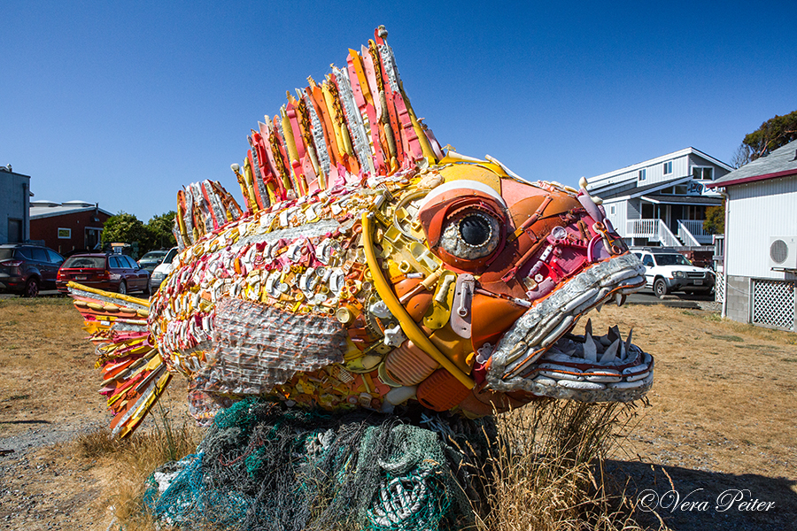 Washed Ashore Art