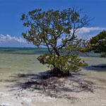 Anne's Beach