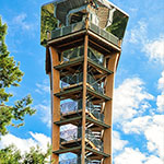 Aussichtsturm Felixsee Aussichtsturm Felixsee