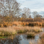 Ostfriesland - Ewiges Meer Ostfriesland - Ewiges Meer
