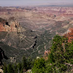 Grand Canyon - North Rim