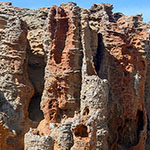 Petrified Forest - Cape Bridgewater