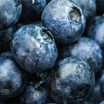 Heidelbeeren Heidelbeeren