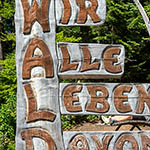 Wald Wald