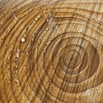 Leben und Holz Leben und Holz