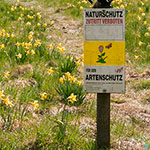 Naturschutz Naturschutz
