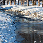Winter und Frühling