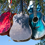 Gitarrenbaum Gitarrenbaum