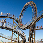 Tiger and Turtle