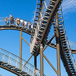 Tiger and Turtle