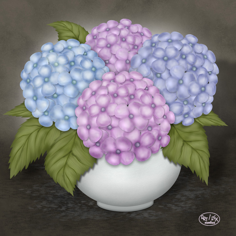 Hortensie