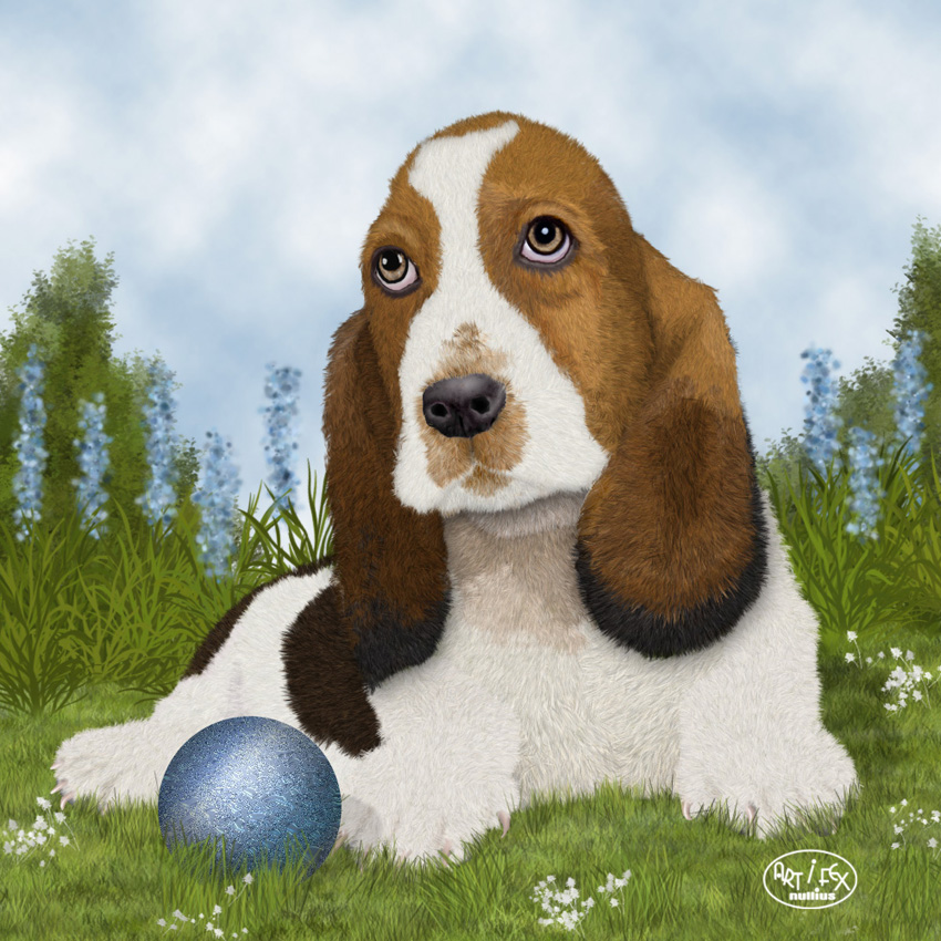 Basset