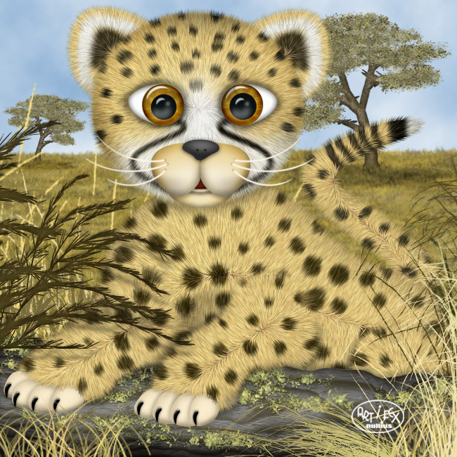 Gepard